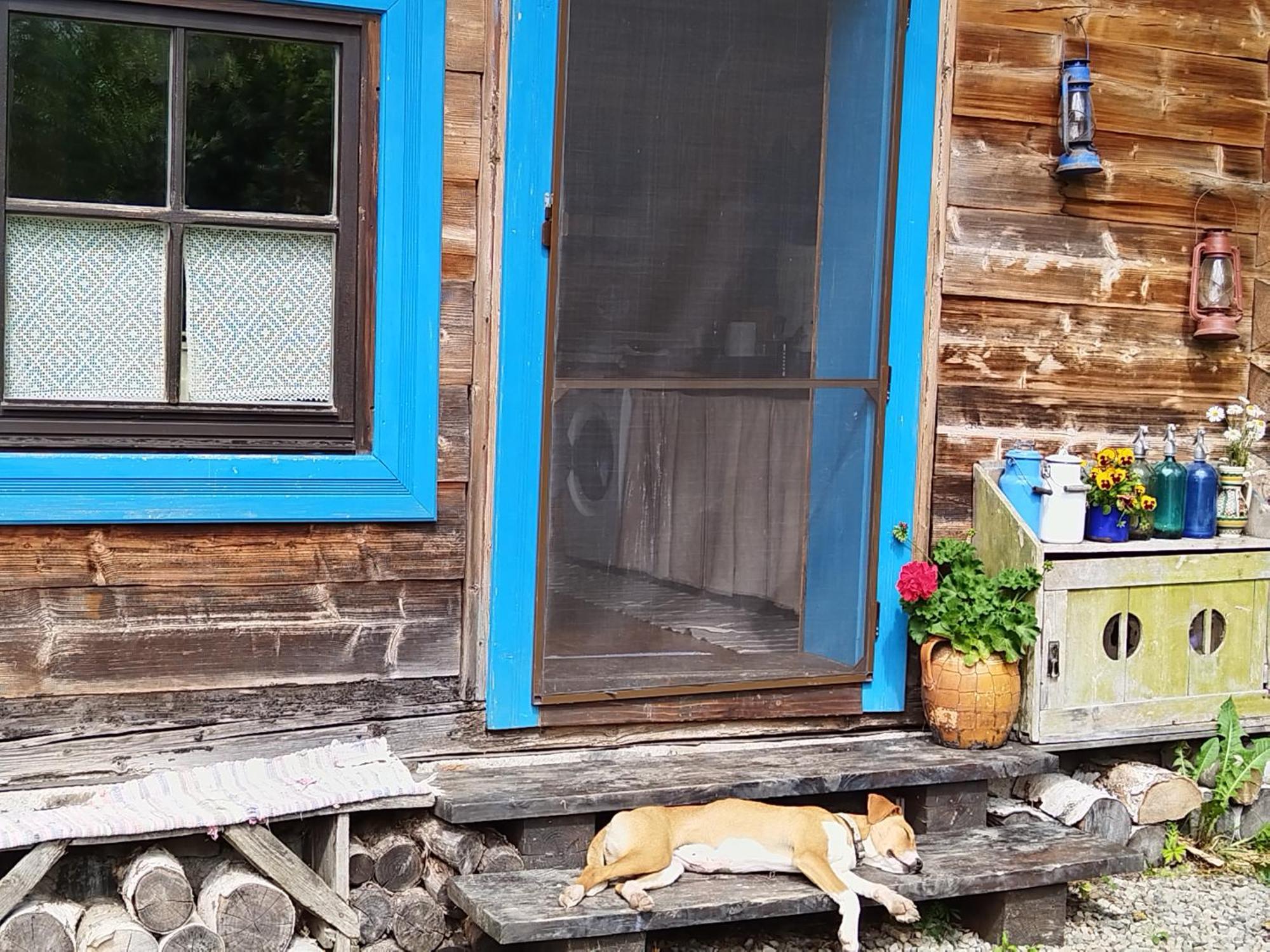 Big Family Apartment In Breb'S Cosy Barn Zewnętrze zdjęcie